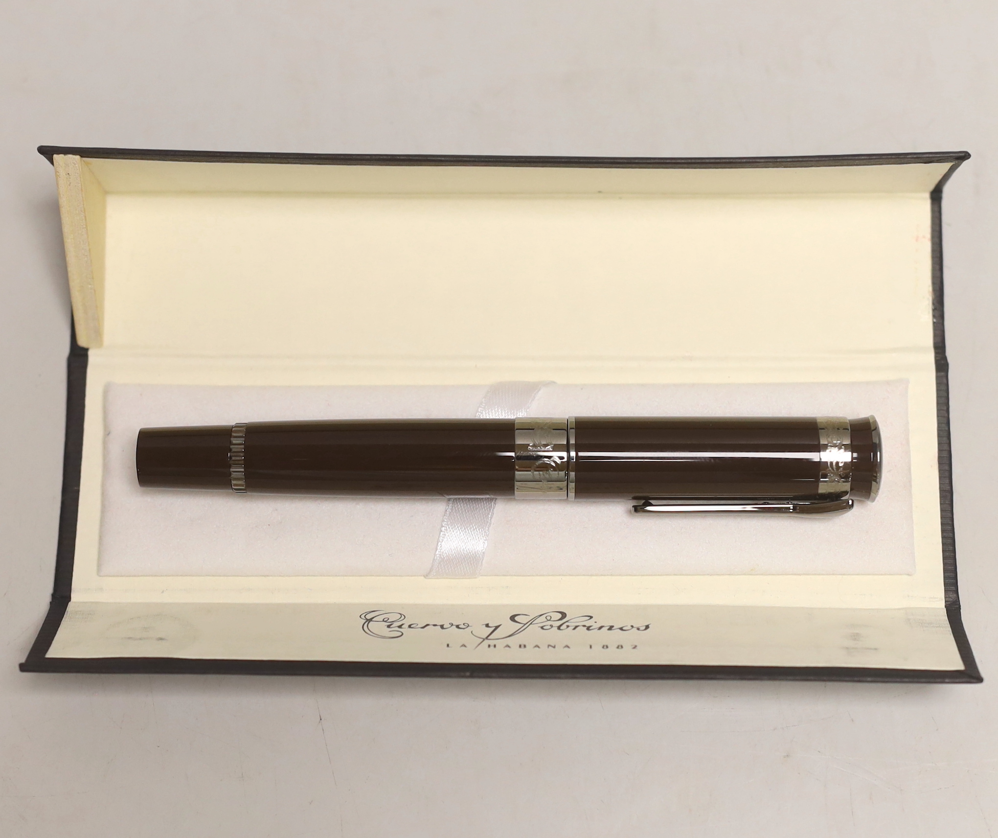 A Cuervo y Sobrinas fountain pen